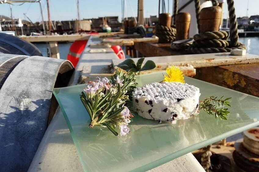 Tasting of seaweed cheeses 3
