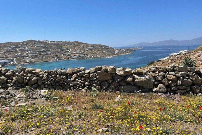 Paisaje costero con un muro de piedra, flores silvestres y una vista distante de un pueblo junto al mar. 2