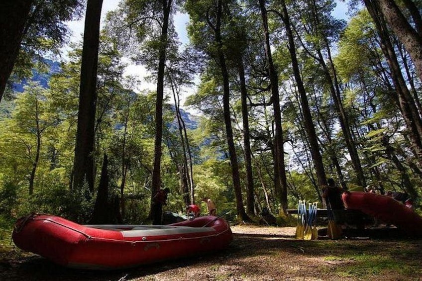 A forest with tall trees and a red raft on the ground. 4