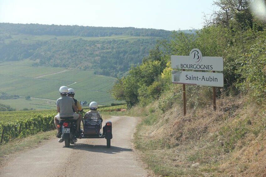 Private Guided Sidecar Tour in Burgundy from Meursault