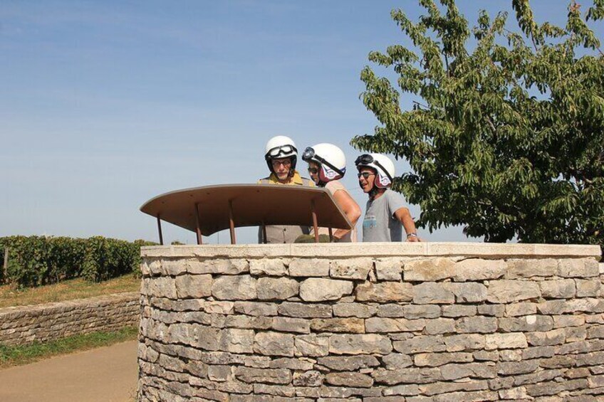 Private Guided Sidecar Tour in Burgundy from Meursault