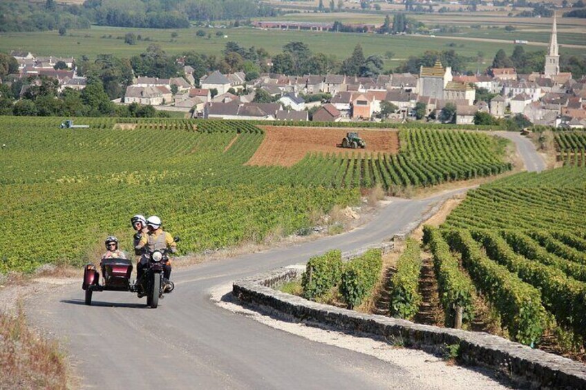 Private Guided Sidecar Tour in Burgundy from Meursault