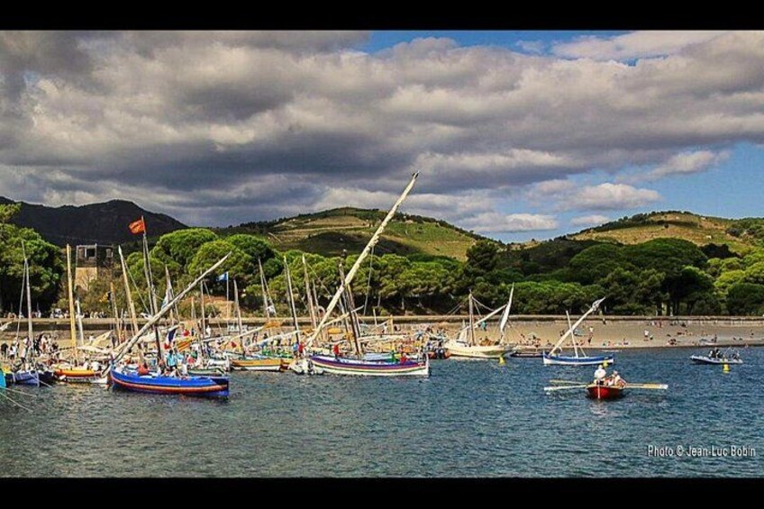 Nausicaa. Discover Collioure and the Côte Vermeille from the sea. 5