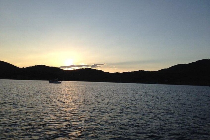 Nausicaa. Discover Collioure and the Côte Vermeille from the sea. 4