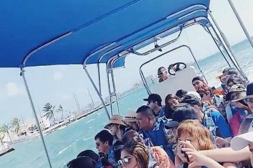 Excursion to Jhony Cay, Aquarium, Bay Tour and Mangroves. 2