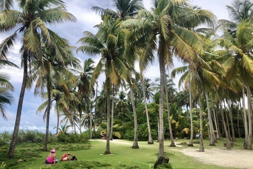 Excursion to Jhony Cay, Aquarium, Bay Tour and Mangroves. 2