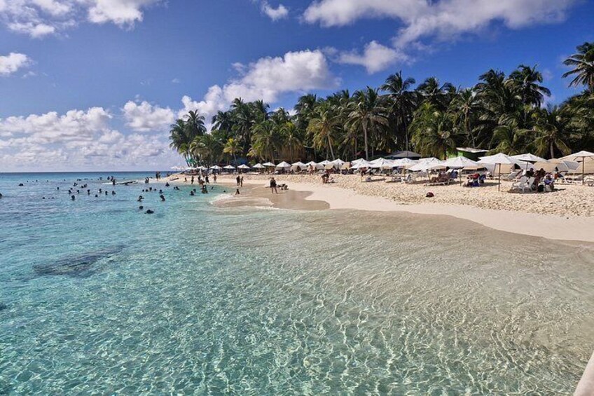 Excursion to Jhony Cay, Aquarium, Bay Tour and Mangroves. 1