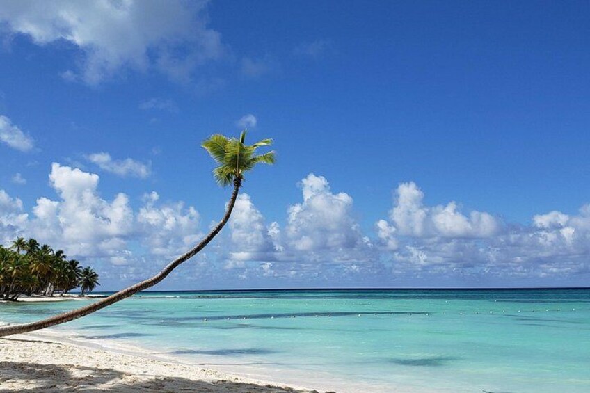 Small Group: Saona Island Full Day Tour 3