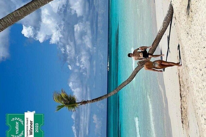Small Group: Saona Island Full Day Tour 2