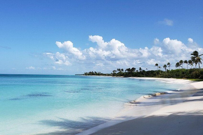 Small Group: Saona Island Full Day Tour 4