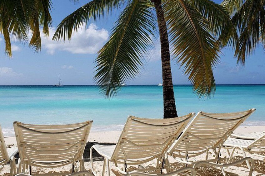 Small Group: Saona Island Full Day Tour 2