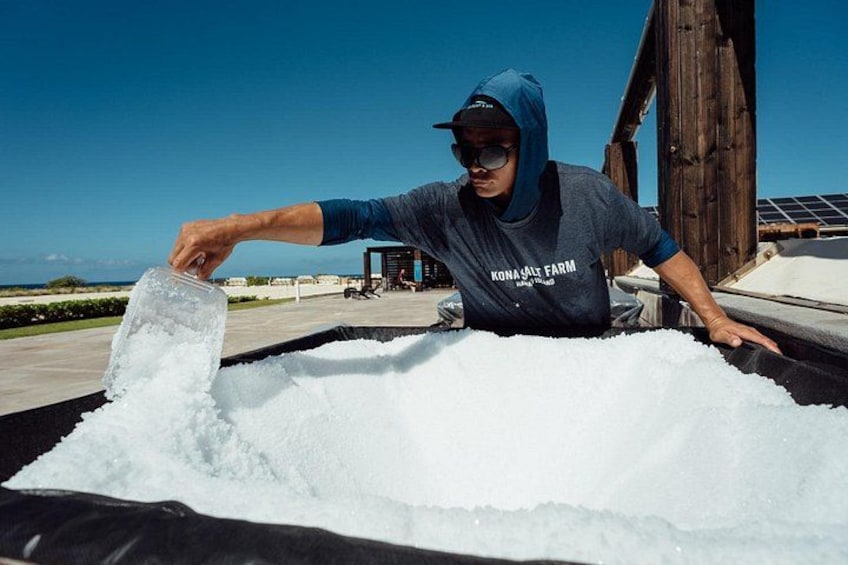 Our Salt Maker 3