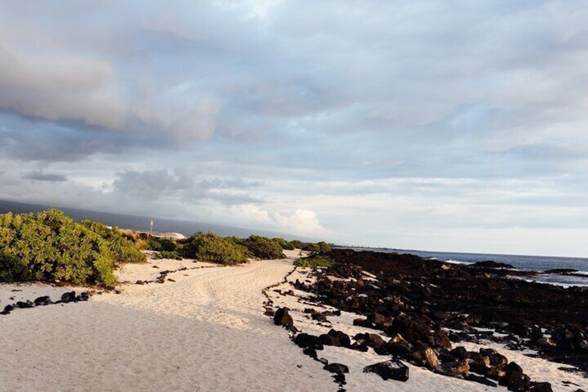 A sandy beach with a rocky shoreline, green bushes, and a cloudy sky. 4