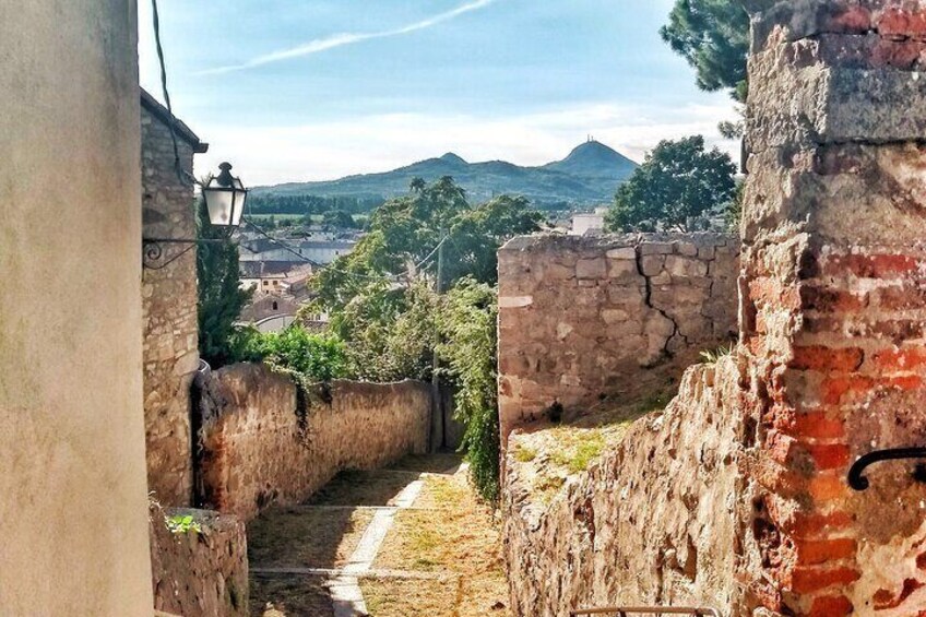 Small Group Tour to the Walled City of Monselice