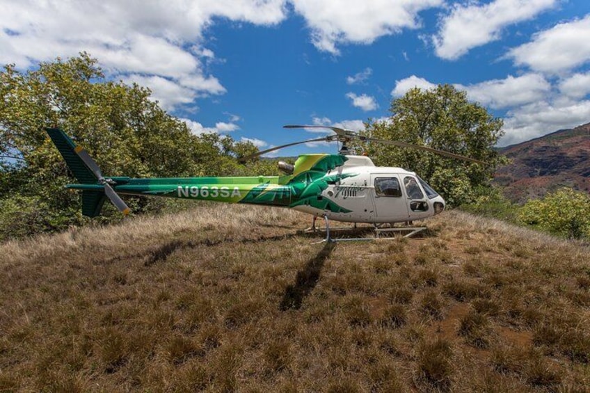 Un helicóptero con matrícula N963SA estacionado en una colina cubierta de hierba, con árboles y montañas al fondo. 1