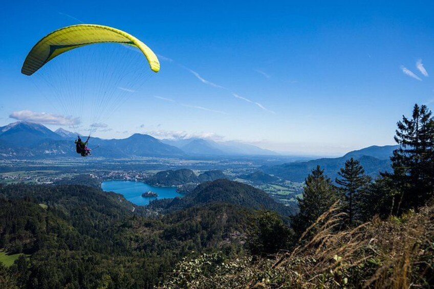 Un parapente en plein vol au-dessus d’un paysage montagneux, avec un lac et des zones boisées. 5