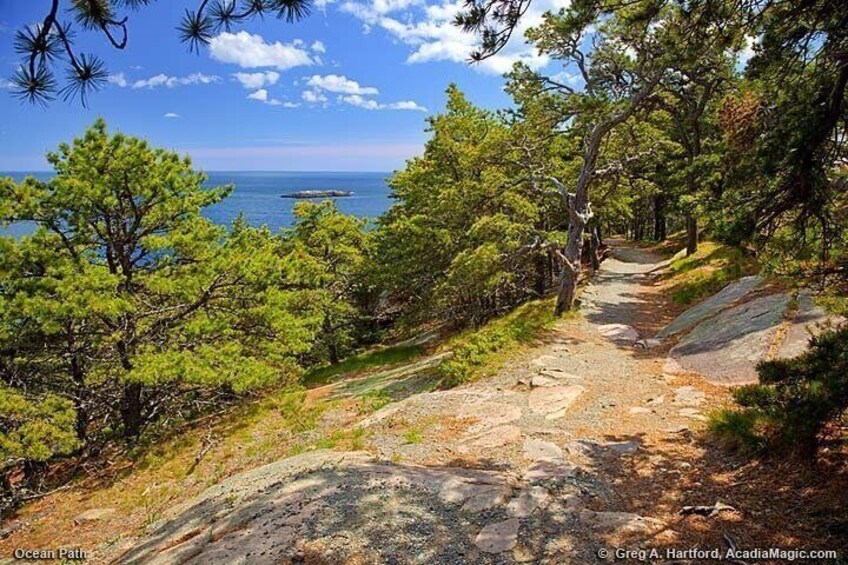 6 Hour Ultimate Private Acadia & Mount Desert Island Tour 4