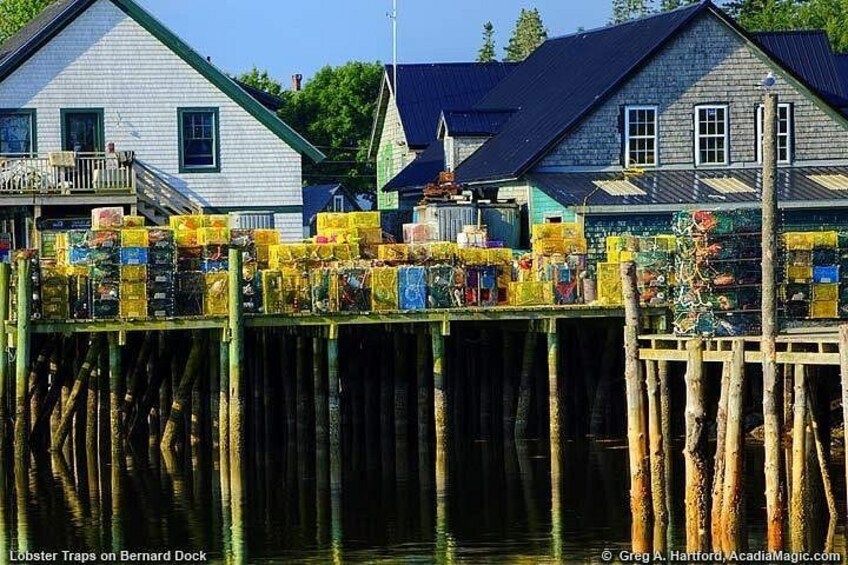 Lobster traps on a dock with houses in the background. 3