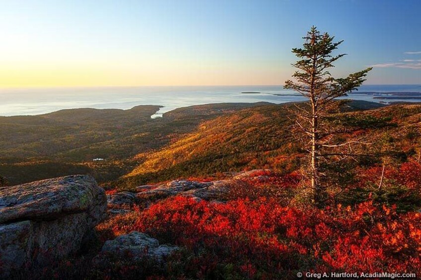 A view from Cadillac Mountain 2