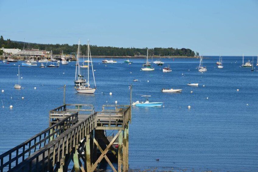 6 Hour Ultimate Private Acadia & Mount Desert Island Tour 3