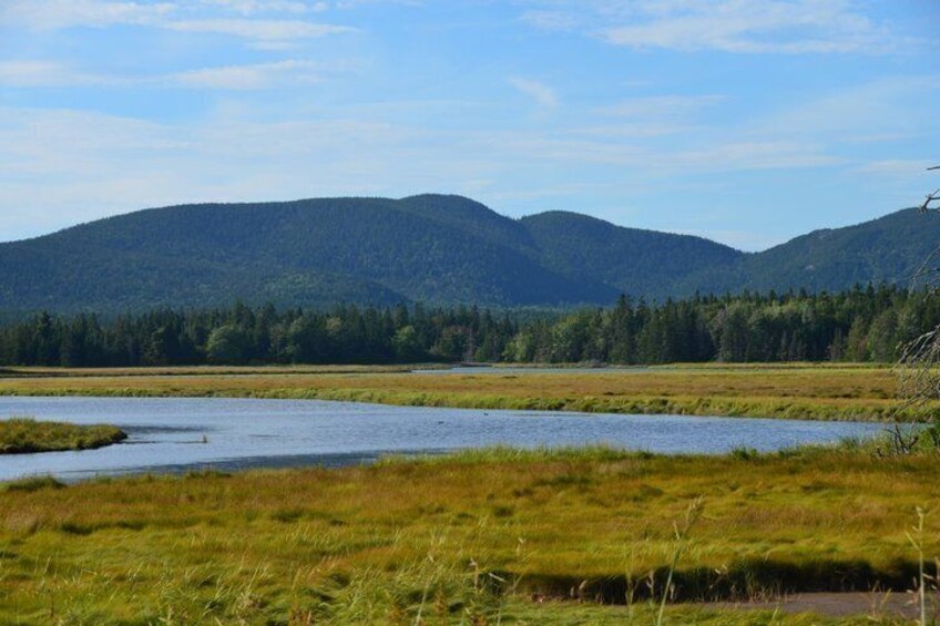 6 Hour Ultimate Private Acadia & Mount Desert Island Tour 2