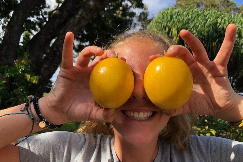 our big liliko'i fruits! 2