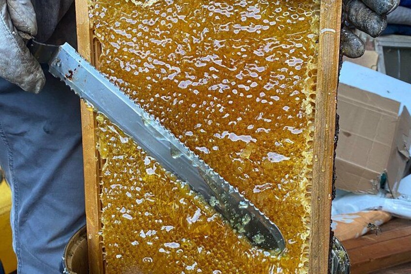 farm lilikoi honey to try 3