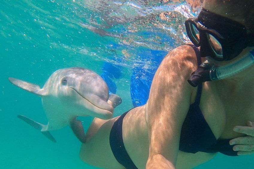 A person snorkeling underwater with a dolphin. 3