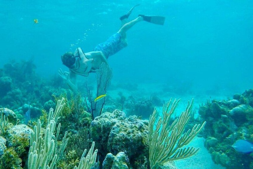 Explore the beautiful reef 2