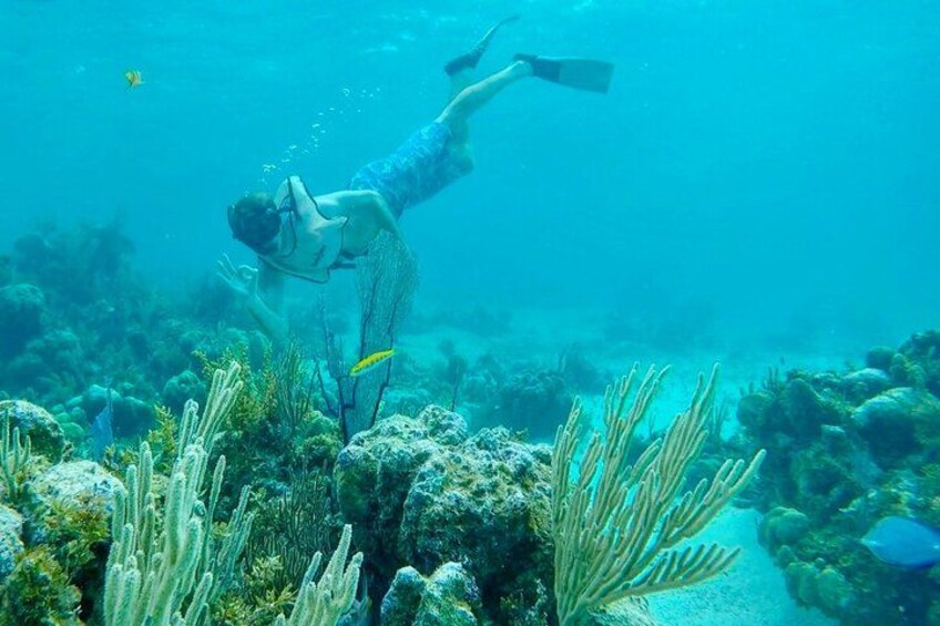 Un buceador explorando un arrecife de coral submarino. 4