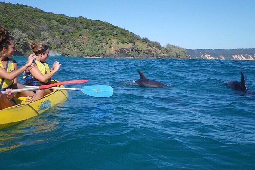 Epic Dolphin Kayak and 4WD Adventure Rainbow Beach