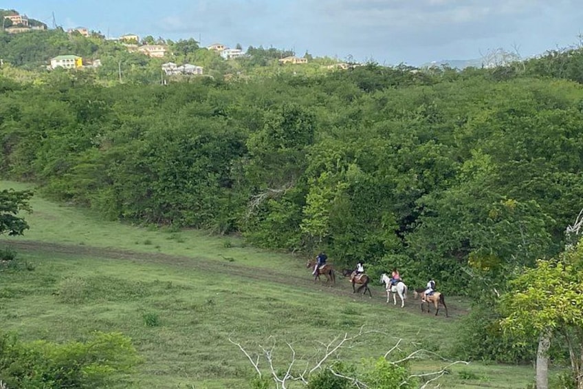 A group of people riding horses on a grassy hillside with trees and houses in the background. 5