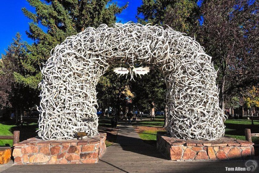 Yellowstone & Grand Teton National Parks: Small Group 3-Day Tour 2