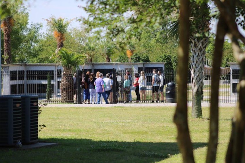 Eine Gruppe von Menschen steht in einem eingezäunten Bereich mit Bäumen und einem Gebäude im Hintergrund. 3