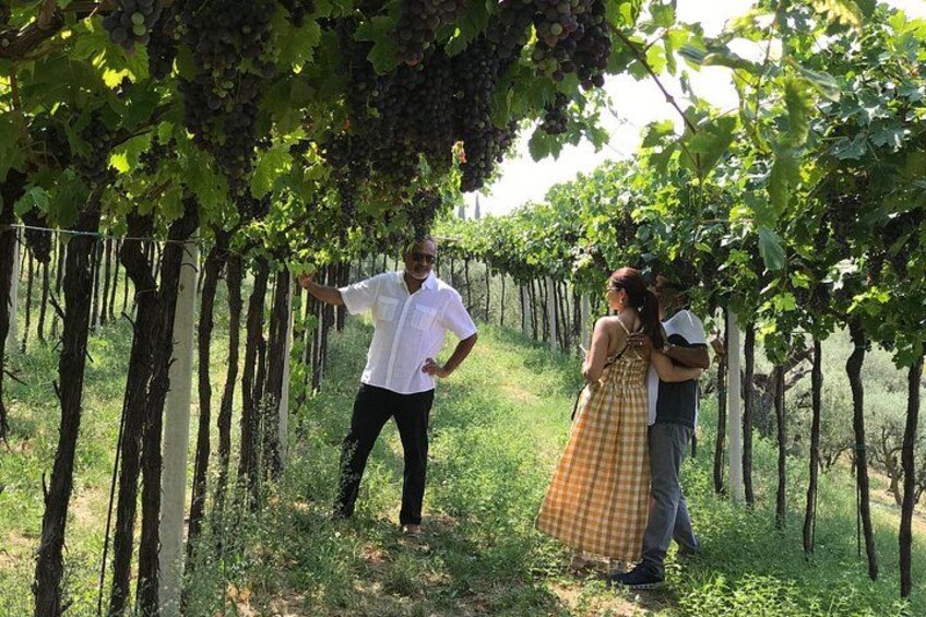 From Verona: Prosecco & Classic method sparkling wine tour, with light lunch 4