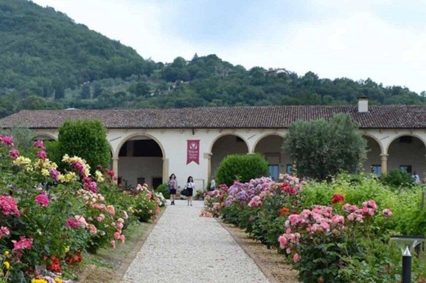 From Verona: Prosecco & Classic method sparkling wine tour, with light lunch 2