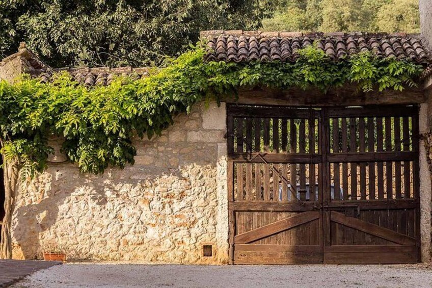 From Verona: Prosecco & Classic method sparkling wine tour, with light lunch 3