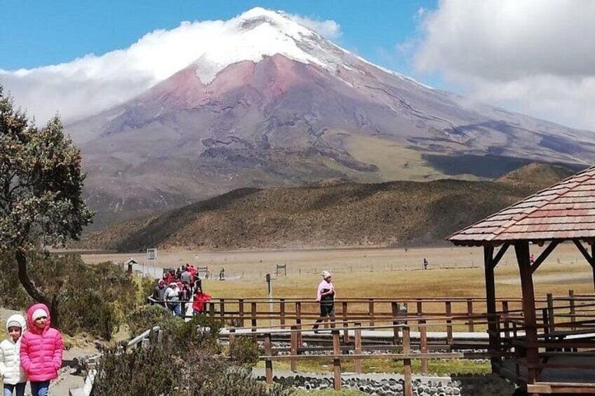 A snow-capped mountain, a wooden viewing platform, and a grassy field. 1
