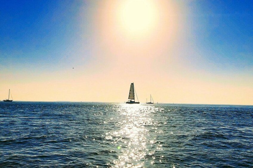 Key West Tiki Bar Sunset Cruise (by the seat) BYOB Adventure 5