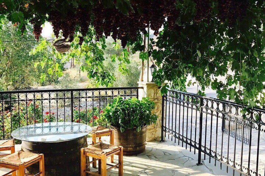 Wine Tasting and Winery Tour in Lemona Village, Paphos