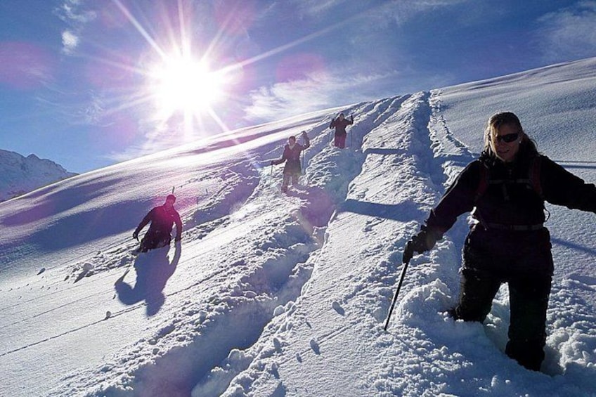 Scenic Snowshoe Adventure in South Lake Tahoe, CA 1