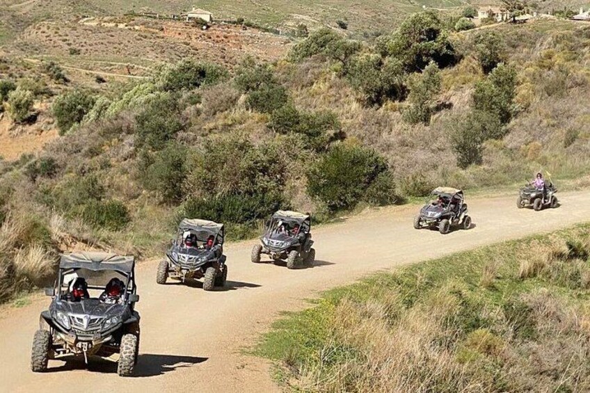2 Hours Buggy Safari Experience in the Mountains of Mijas with Guide 3
