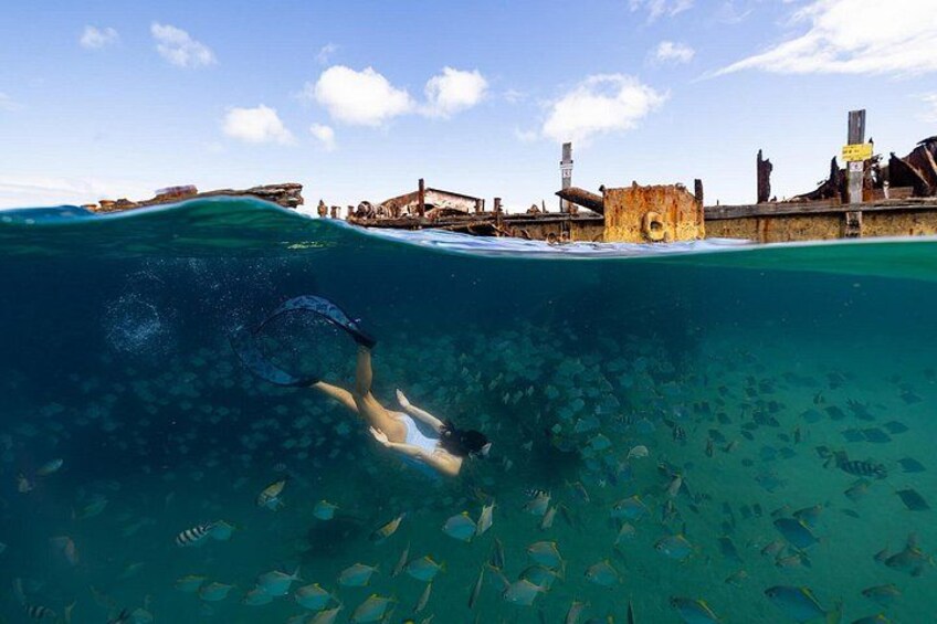 Une personne nageant sous l’eau avec un tuba, entourée de poissons et d’une structure côtière. 3