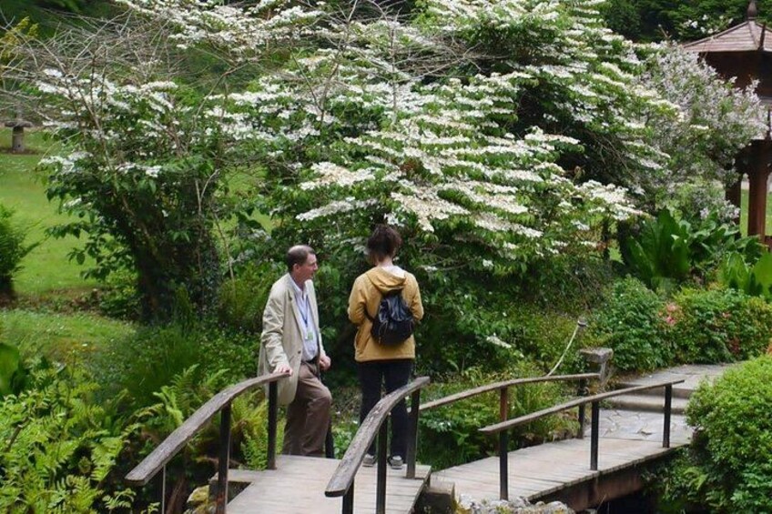 Japanese Gardens Powerscourt 2