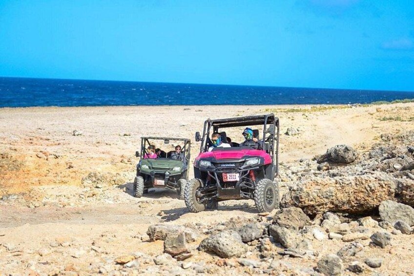 Action-Packed Half Day Aruba UTV Tour and Arashi Beach 4