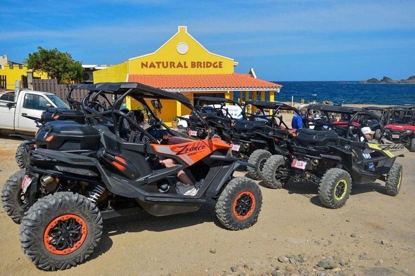 Action-Packed Half Day Aruba UTV Tour and Arashi Beach 2