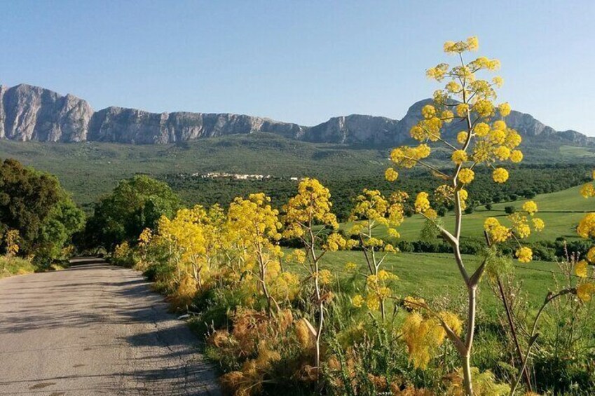 Paesaggio dei corleonese