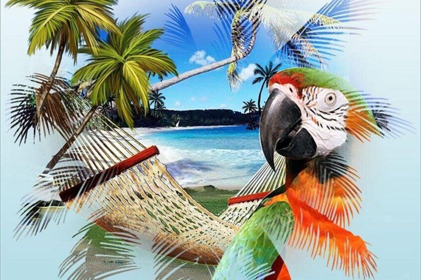 Parrot Head Tour 3