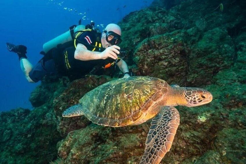 Diving tour in Isla del Caño for certified divers 2
