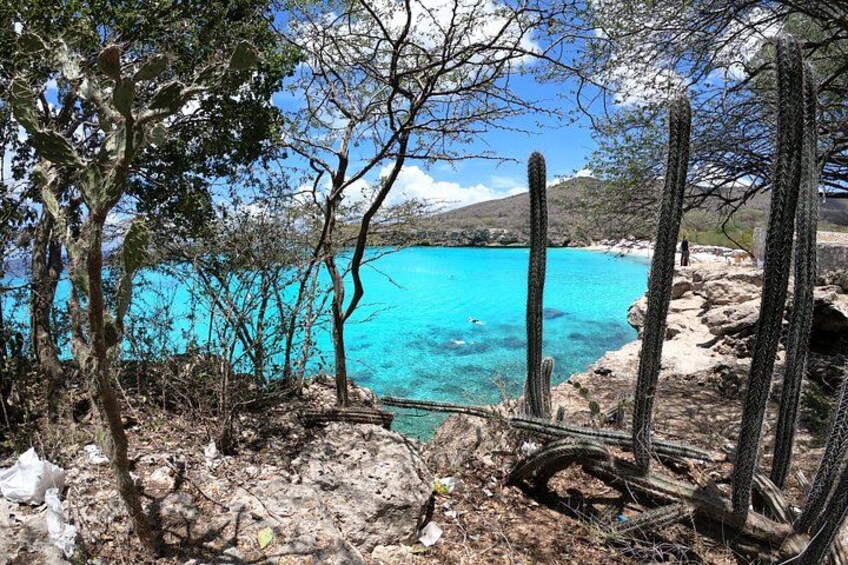 A coastal landscape with a clear blue sea, cacti, and rocky terrain. 5